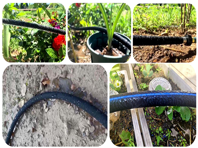 Aplicação do tubo de irrigação por infiltração de nano na irrigação arenosa do solo