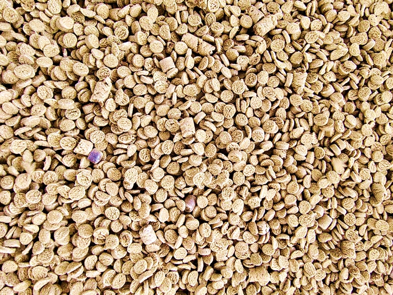 Qual é a temperatura de processamento da máquina de granulação WPC?
